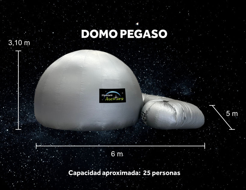 Domo Pegaso